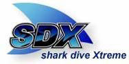 Shark Dive